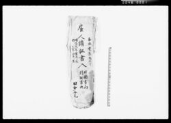 [奉公人雇入請証書類] / [Notice of Acceptance of an Employee] image