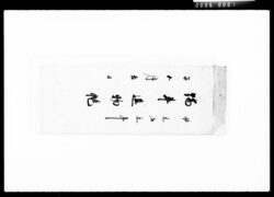 端午進物帳 / Document of Komeya Tanaka family image