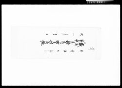 歳玉寒中兼諸候并町方姓名帳 / Document of Komeya Tanaka family image