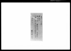 東叡山御霊屋最樹院様御霊屋江被遊御参詣候節致供奉候留 / Document of Samurai Class image