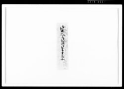 五節句御本丸江参上之節 御城代より御渡御書付之写 / Document of Samurai Class image