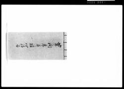 菊之間席並ニ諸心得留 / Document of Samurai Class image