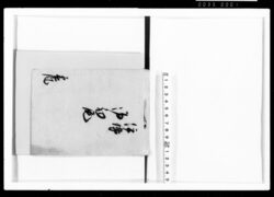 伊勢御初尾 / Document of Samurai Class image