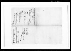 扣の一部 / Document of Samurai Class image