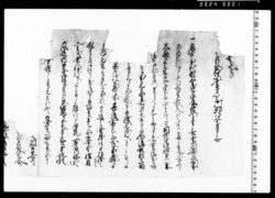乍恐以書付を御訴訟奉申上候(養子巳之助を初右衛門方に引取願につき) / Documents of Kitashinagawa-inari-mae image