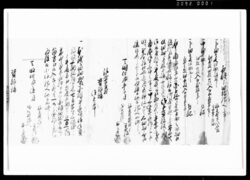 相渡申田地証文之事（金14両） / Document of Rural Area image
