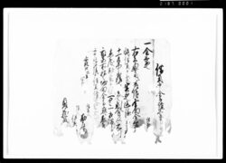 借用申金子証文之事（金3両） / Document of Rural Area image