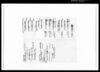 [午年諸勘定調帳断簡] / Document of Rural Area image