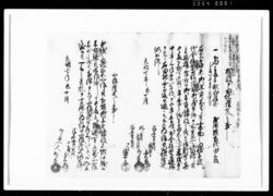 相渡申田地証文之事(代金14両請取) / Document of Rural Area image