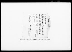 以書付申上候（江戸城への年頭参賀疝病にて難儀のため献上の扇子差上につき） / Document of Townspeople image