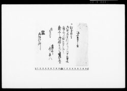 以書付申上候（江戸城への年頭参賀病症にて難儀のため献上の扇子差上につき） / Document of Townspeople image