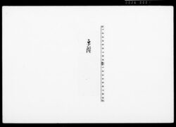 [尾張屋甚兵衛人別帳引合にて相違無き旨報告・同人印鑑書とも] / Document of Townspeople image