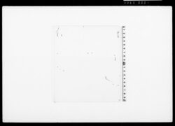 紫糸紐（装束着用免状） / Document of Townspeople image