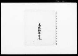 有紋紫革（装束着用免状） / Document of Townspeople image