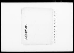 有紋紫革（装束着用免状） / Document of Townspeople image