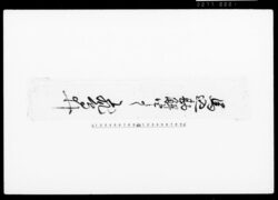 [蹴鞠為門弟玉虫上免状] / Document of Townspeople image