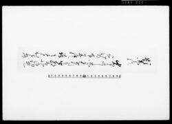 ［和歌短冊（題しらす）] / Poem Written on Tanzaku Card image