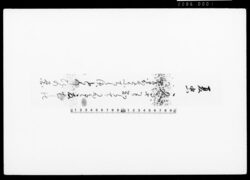 [和歌短冊（夏虫）] / Poem Written on Tanzaku Card image