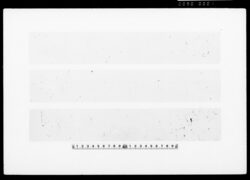 [短冊台紙一括] / Poem Written on Tanzaku Card image