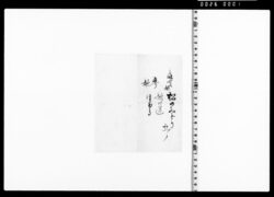 紅裏葛袴(難波家衣裳着用免状) image