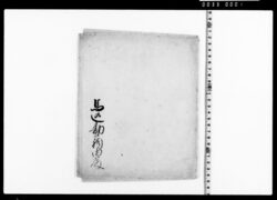 [書付（玉虫上披露之処被免之候につき）] image