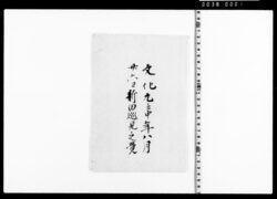 新田巡見之覚 image