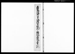一札(当役所配下金剛院借地につき請状) image