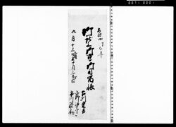 御献上御鷹御用留帳 image