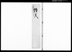 借用申金子之事(戸田越前守勝手向要用に付金五百両借用) image