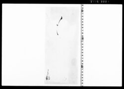 書状断簡 image