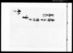 唐絵古筆絵師筆懸物巻物書付 image
