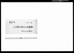 若殿様御家督御廻勤御順 / Document of Samurai Class image