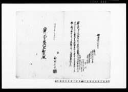 御家人金田家文書 独孫養女送籍願 / Public Document image