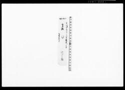 御家人金田家文書　印鑑届雛型 / Other Documents image