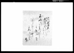 和歌色紙「八代国治君の学位を得られたるをよろこひて」 / Shikishi (Square Calligraphy Card) with Waka Poem "To Congratulate Mr. Yashiro Kuniharu on Receiving an Academic Degree" image