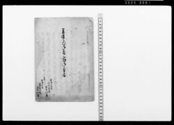 系譜之内御尋之趣御答書 / Document of Samurai Class image
