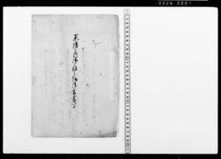 系譜之内御尋之趣御答書写 / Document of Samurai Class image