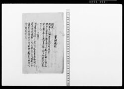 重大御奏聞 / Document of Samurai Class image