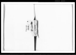 府川家注文帳 [鏨工出来帳] / Fukawa Family Order Book image