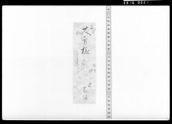 三田屋敷大方様宛 しつ書翰 / Document of Samurai Class image