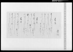 詠歌書上(春鳥、春魚、春虫、恋車、社頭杉)(山形藩主水野忠精母寿女関係史料 / Document of Samurai Class image
