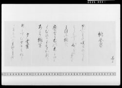 詠歌書上(桃花盛等) / Document of Samurai Class image