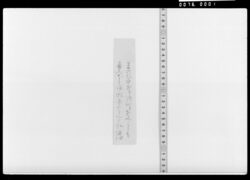 詠歌短冊(春の日) / Document Related to Culture image