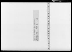詠歌短冊(さから山) / Document Related to Culture image