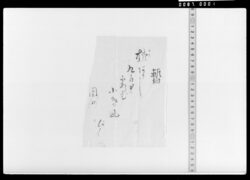 俳句書上(柿あかし) / Document Related to Culture image