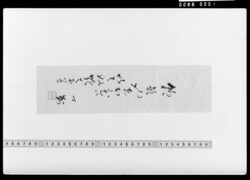 俳句書上(朝顔や) / Document Related to Culture image