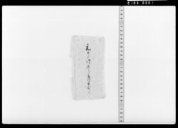元日より御しうき手ひかへ(包紙のみ) / Other Documents image