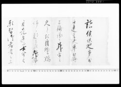 行政官通知 / Document of Politics image