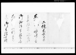 行政官通知 / Document of Politics image