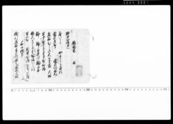 指南書 / Document Related to Culture image